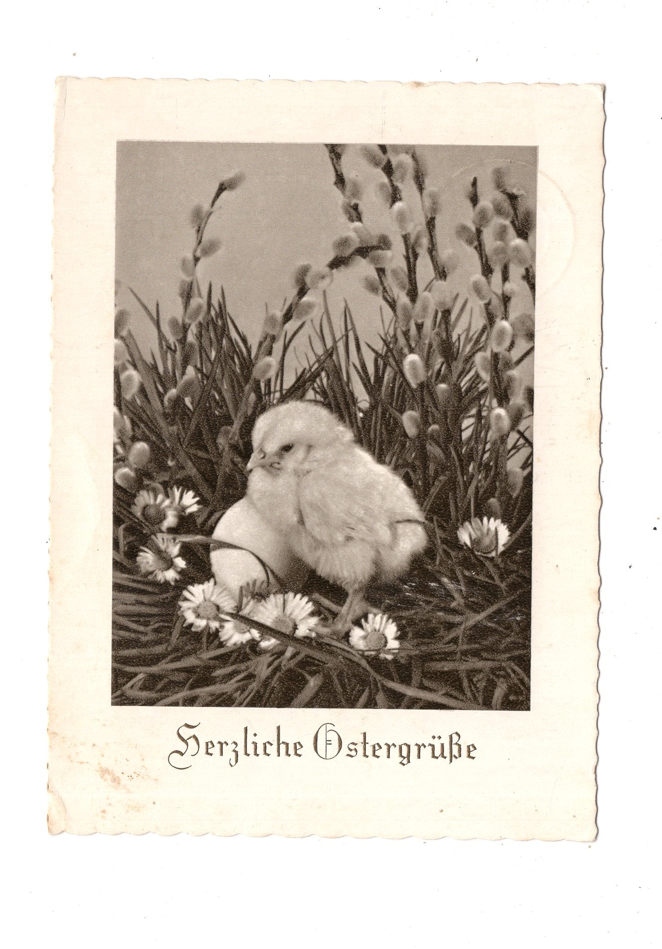 Ansichtskarte Feiertage / Frohe Ostern / L1-53