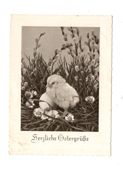 Ansichtskarte Feiertage / Frohe Ostern / L1-53