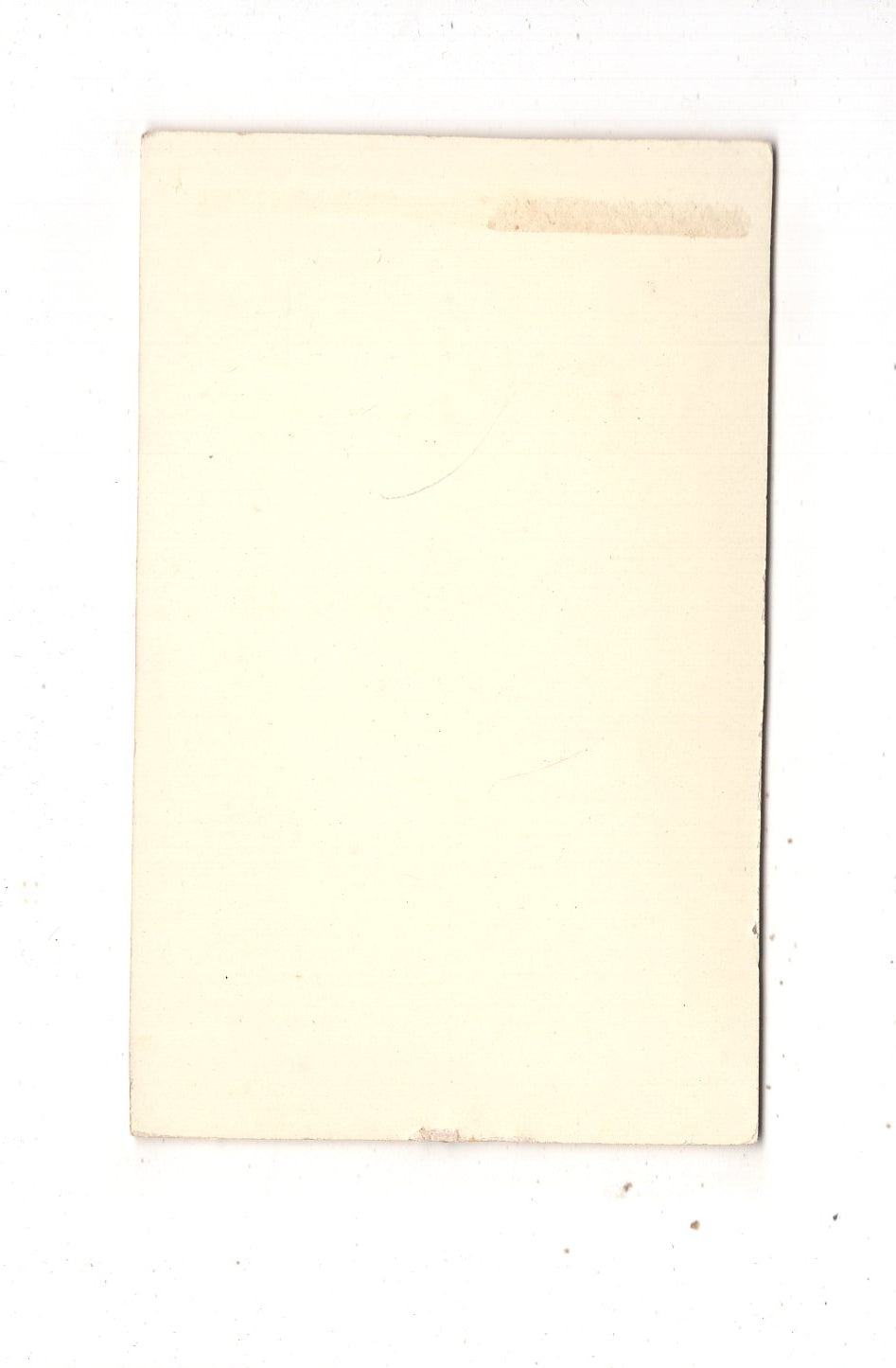 Fotografie Schönes Hochzeitsbild - unbekannter Ort 1890er