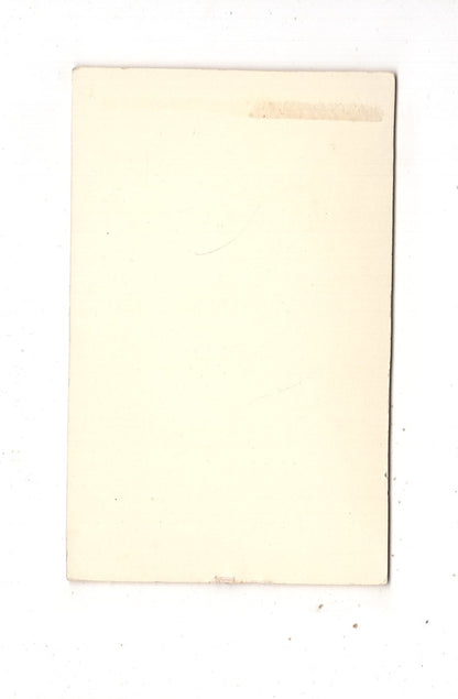 Fotografie Schönes Hochzeitsbild - unbekannter Ort 1890er