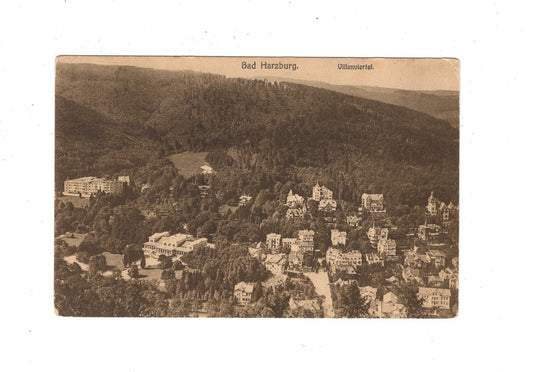 Ansichtskarte Bad Harzburg / Villenviertel / K1-55