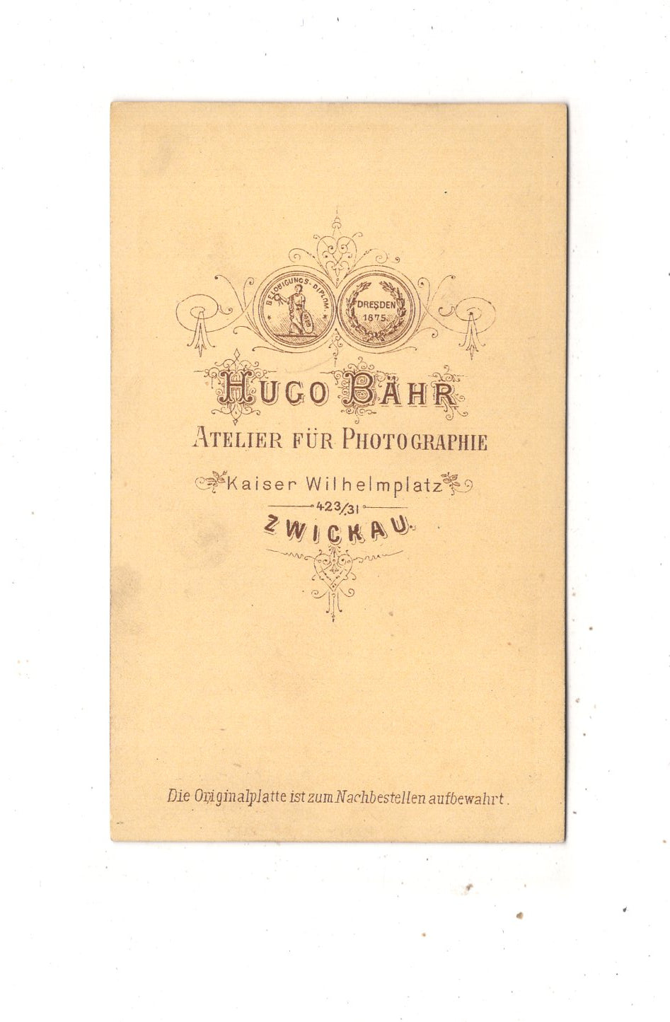 Fotografie Feine Dame - Zwickau 1870er