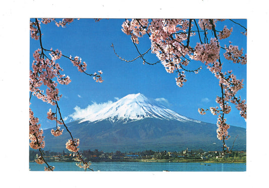 Ansichtskarte Mount Fuji and Cherry Blossoms / Japan