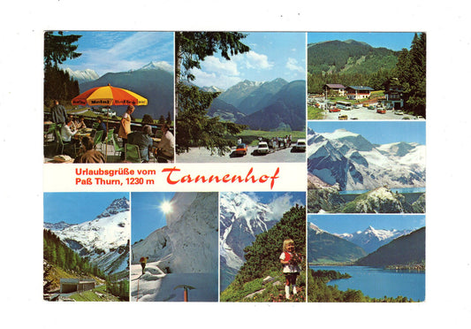 Ansichtskarte Café-Restaurant Tannenhof / Mittersill - Pass Thurn / Salzburger Land / Österreich