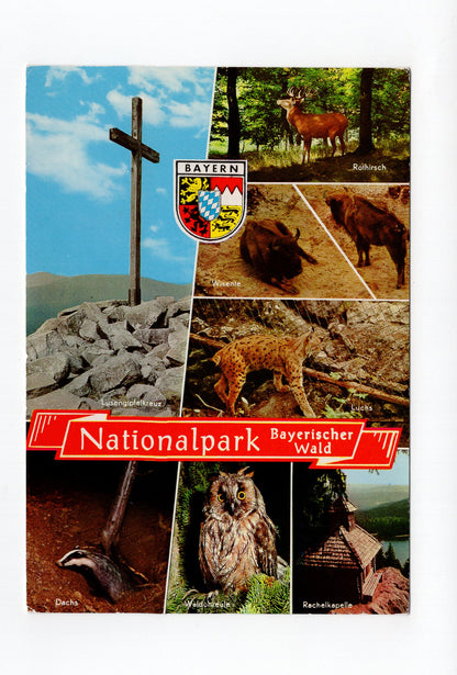 Ansichtskarte Nationalpark Bayerischer Wald