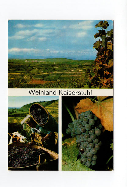Ansichtskarte Weinland Kaiserstuhl