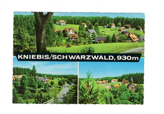 Ansichtskarte Kniebis an der Schwarzwaldhochstraße / H1-52