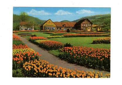 Ansichtskarte Deckbergen / Der Essmannshof