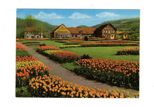 Ansichtskarte Deckbergen / Der Essmannshof