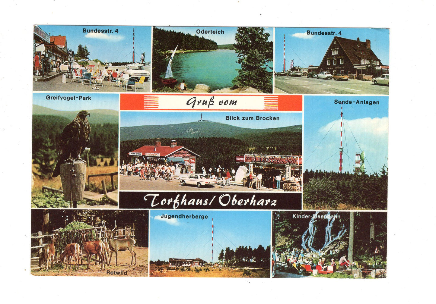 Ansichtskarte Torfhaus / Oberharz / Jugendherberge +++ / K1-55