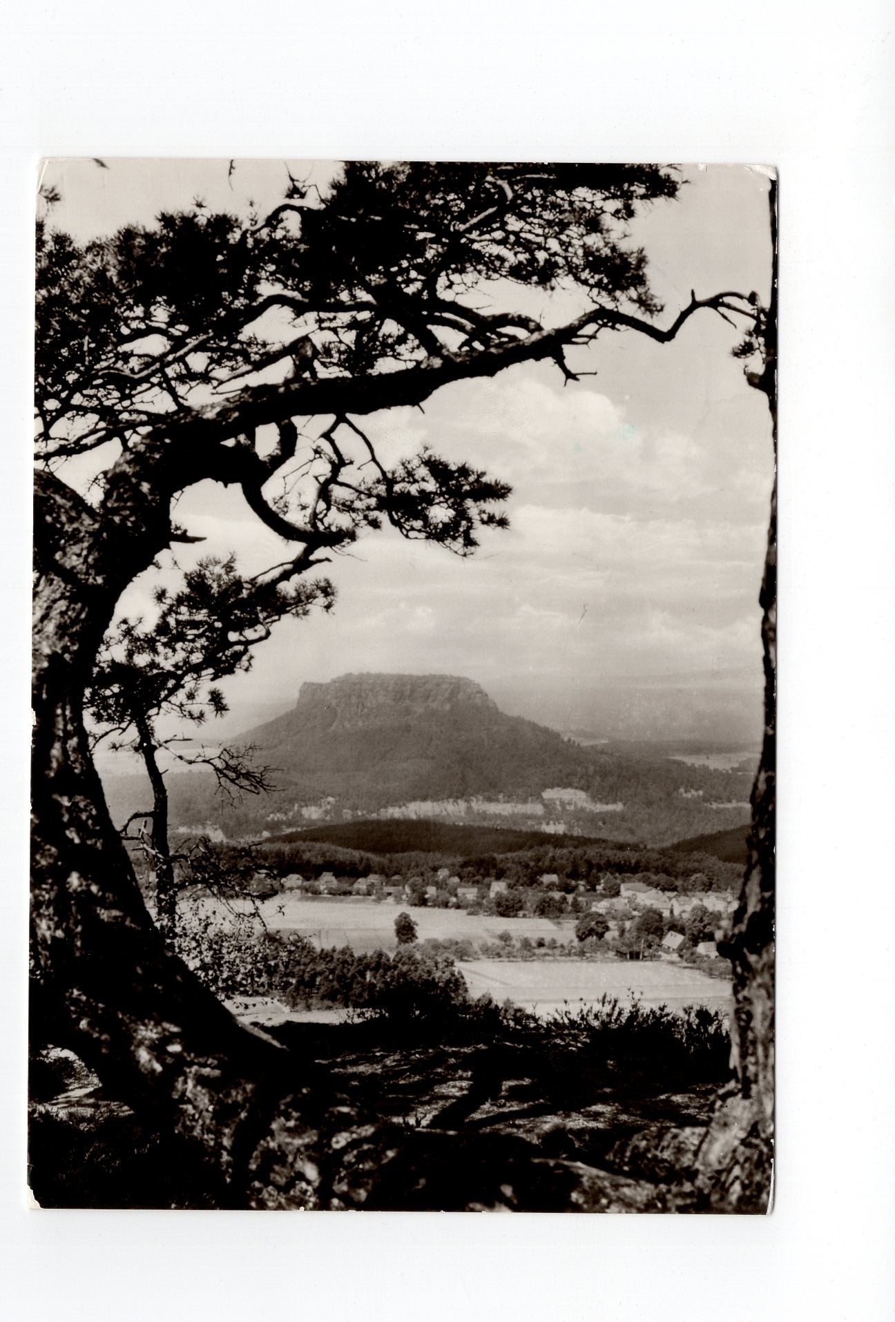 Ansichtskarte Gohrisch mit Lilienstein / Sächsische Schweiz