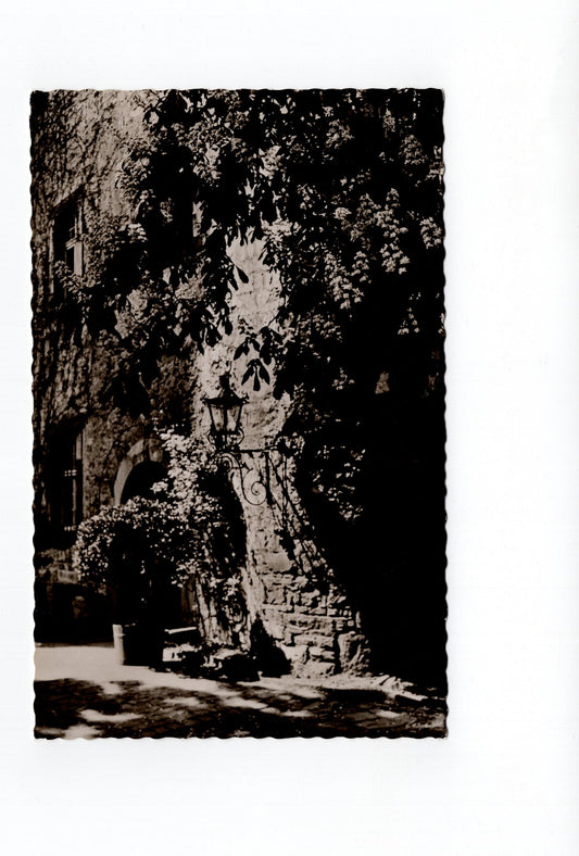 Ansichtskarte Burghotel Trendelburg / Kreis Hofgeismar