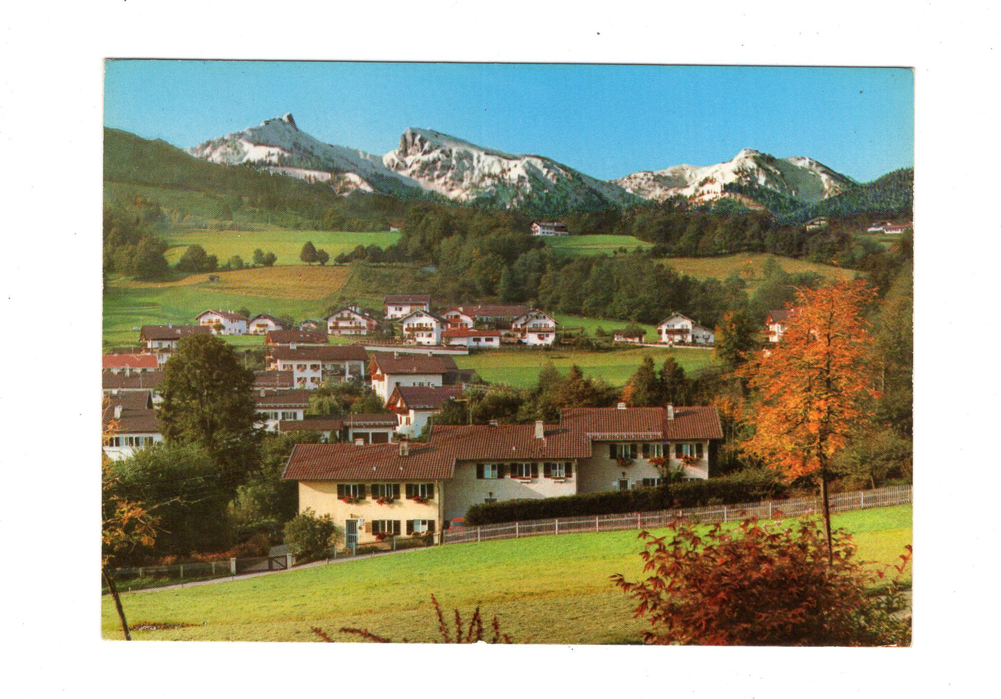 Ansichtskarte Bad Kohlgrub / Oberbayern / Blick auf Ammergauer Alpen