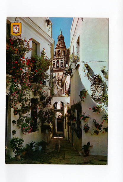 Ansichtskarte Cordoba / Spanien