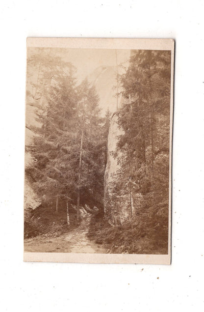 Fotografie Historisches Landschaftsbild - unbekannter Ort 1870er