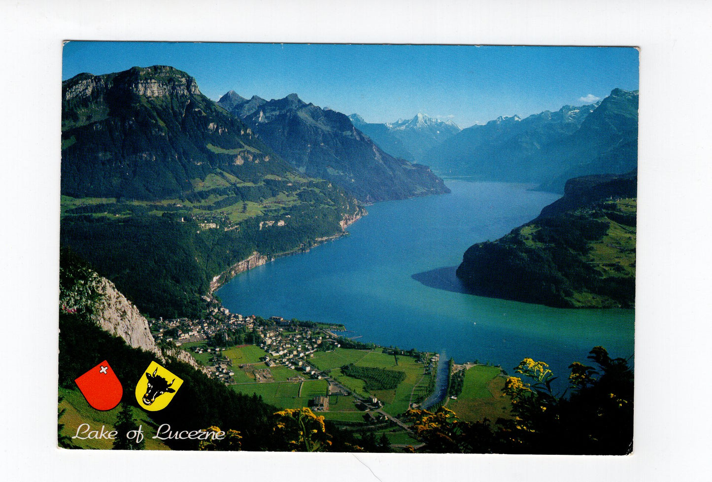 Ansichtskarte Blick auf Brunnen und Urner See / Vierwaldstättersee / Schweiz