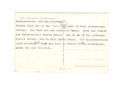 Ansichtskarte Aden / Kamel Karavane / Jemen