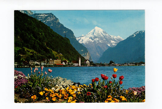 Ansichtskarte Flüelen am Vierwaldstättersee / Schweiz