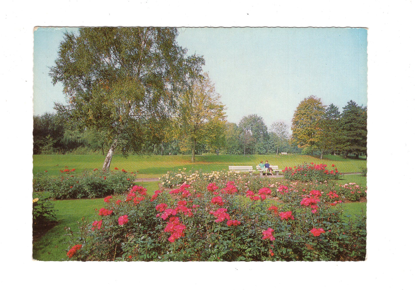 Ansichtskarte Delmenhorst / Graftanlagen / H1-69