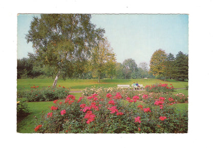 Ansichtskarte Delmenhorst / Graftanlagen / H1-69