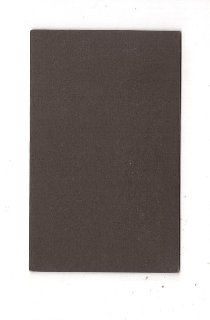 Fotografie Feine Dame - Ohligs um 1900