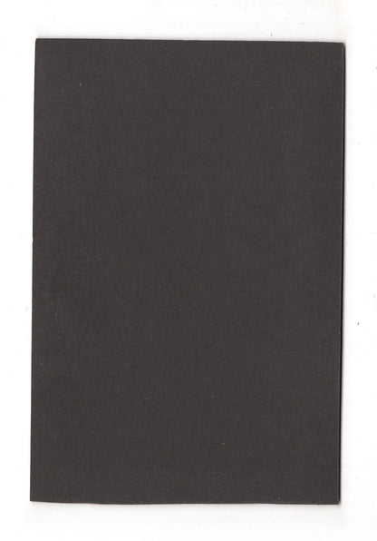 Fotografie Feines Paar - unbekannter Ort 1900er / CAB X-32