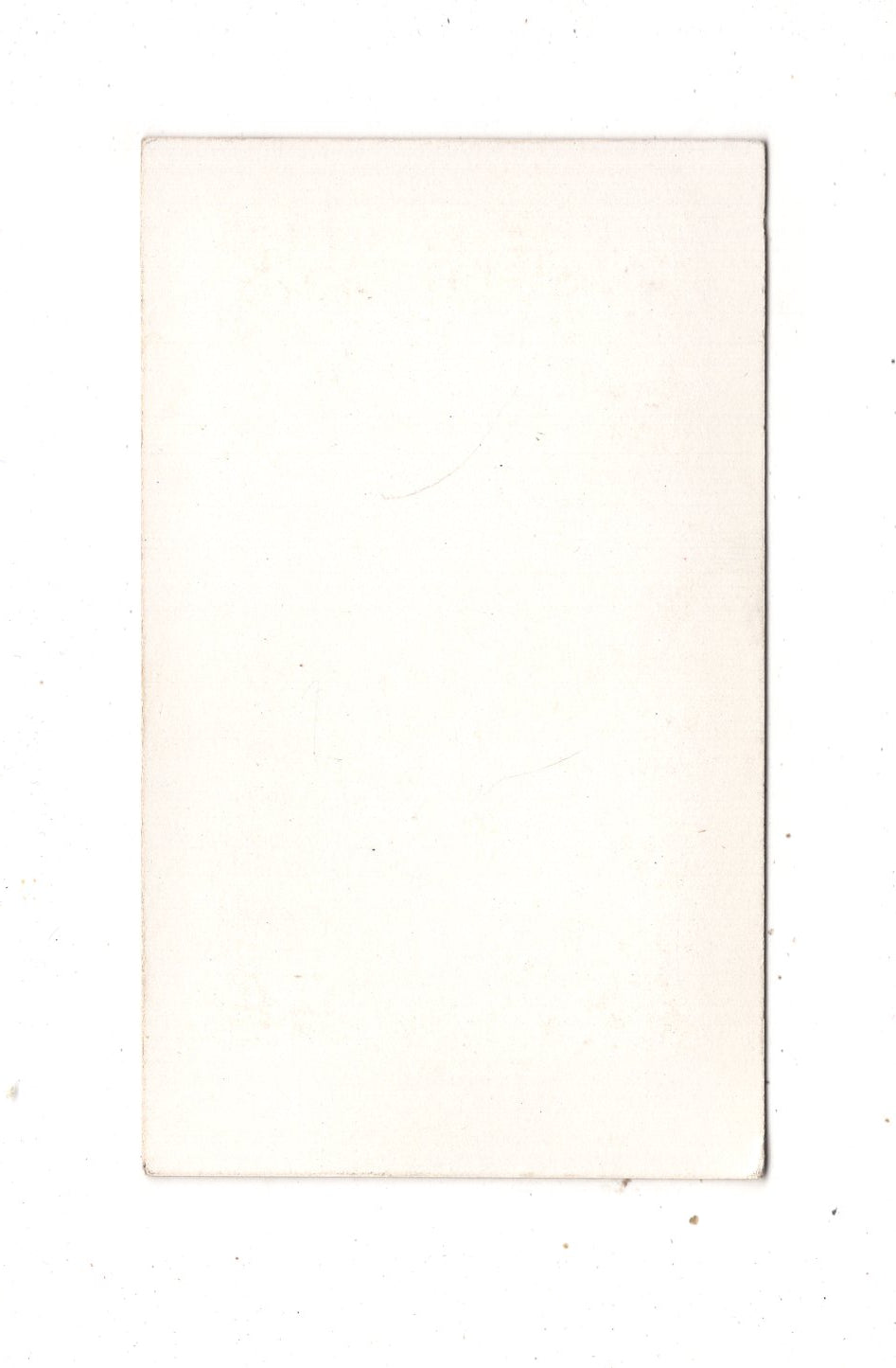 Fotografie Das Münster in Straßburg - 1870er