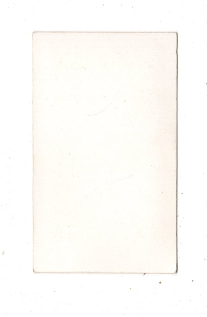 Fotografie Das Münster in Straßburg - 1870er