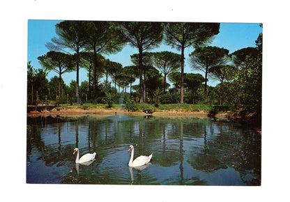 Ansichtskarte Cervia Milano Marittima / Italien