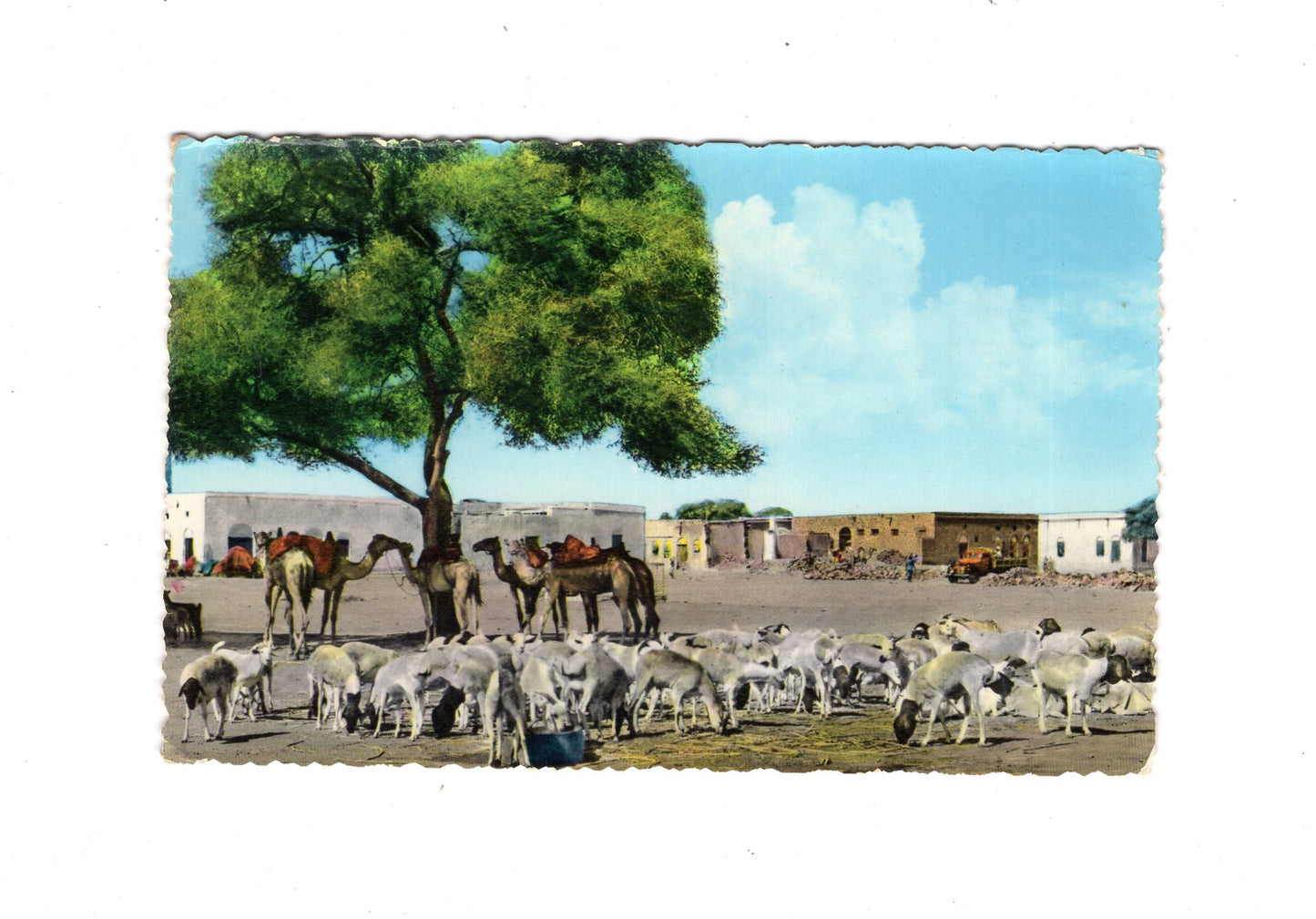 Ansichtskarte Aden / Sheikh Othman / Jemen