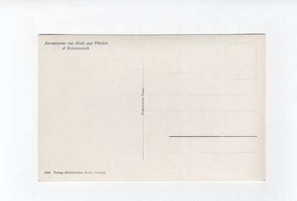 Ansichtskarte Axenstraße mit Blick auf Flüelen und Bristenstock / Schweiz