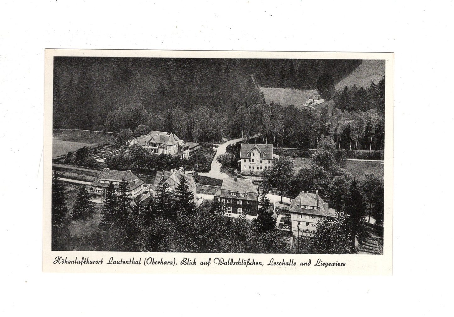 Ansichtskarte Lautenthal / Oberharz / Waldschlösschen +++ / J1-63