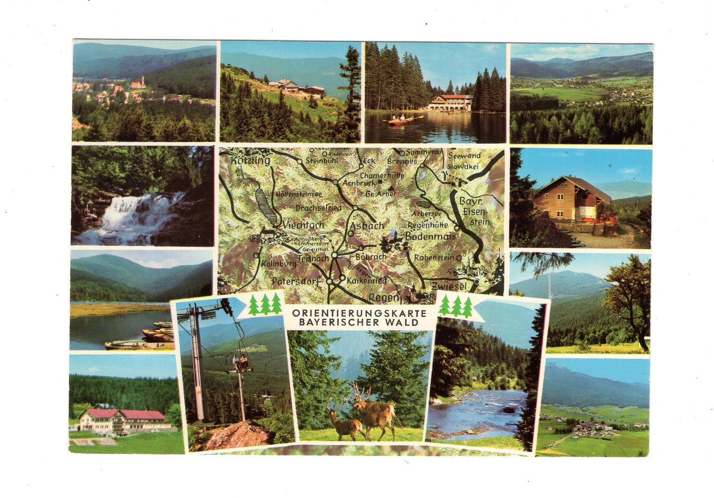 Ansichtskarte Orientierungskarte Bayerischer Wald