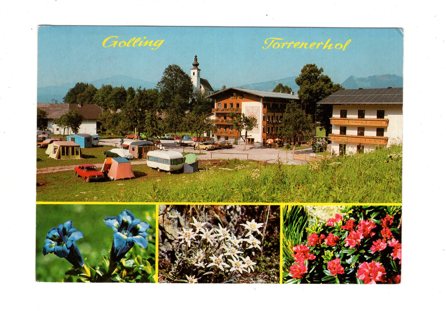 Ansichtskarte Hotel Torrenerhof / Golling / Salzburger Land / Österreich