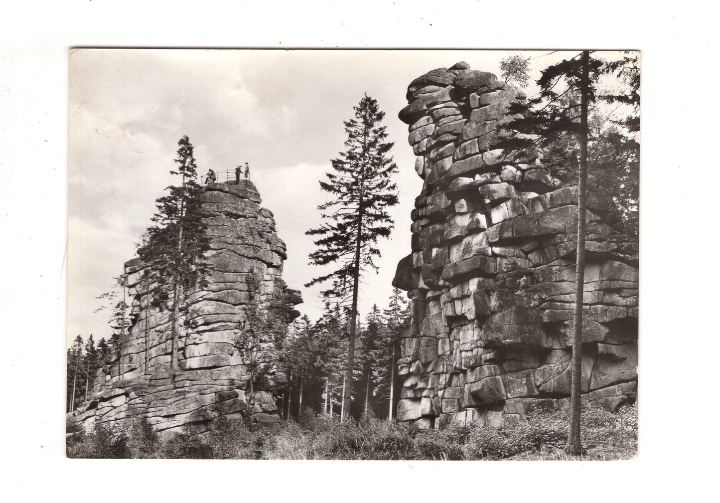 Ansichtskarte Schierke / Kreis Wernigerode / Schnarcherklippen / J1-63