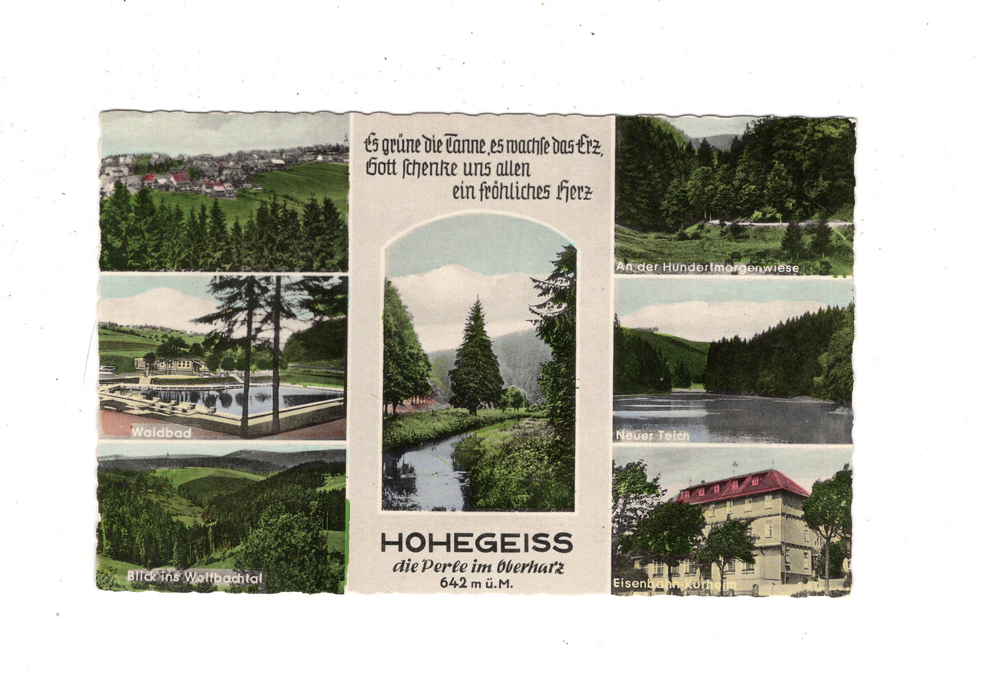 Ansichtskarte Hohegeiß im Oberharz / Waldbad +++ / J1-63