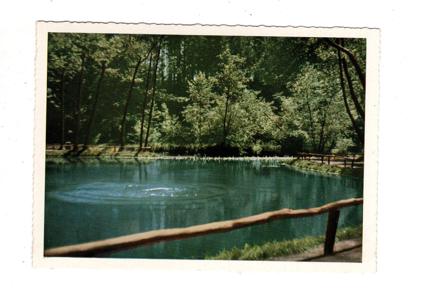 Ansichtskarte Rhumspringe / Südharz / Rhume-Quelle / J1-63