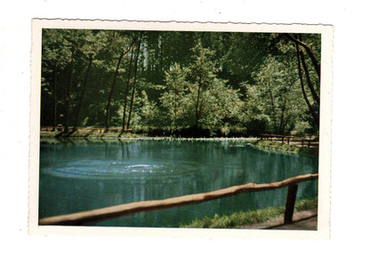 Ansichtskarte Rhumspringe / Südharz / Rhume-Quelle / J1-63