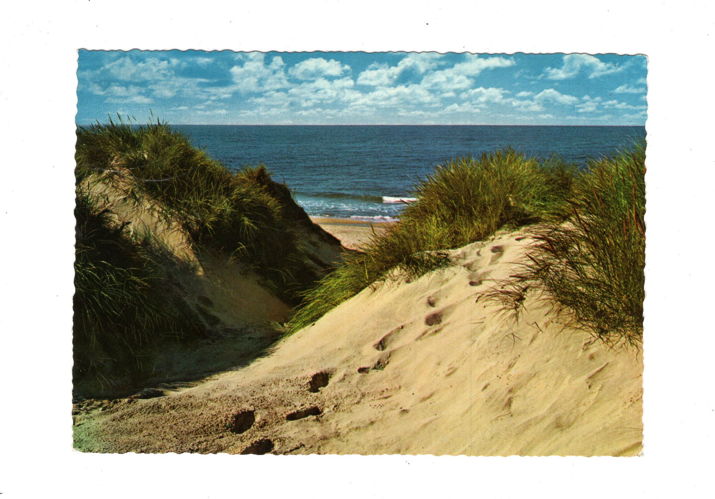 Ansichtskarte Insel Sylt / Dünendurchblick