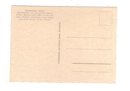 Ansichtskarte Rhumspringe / Südharz / Rhume-Quelle / J1-63