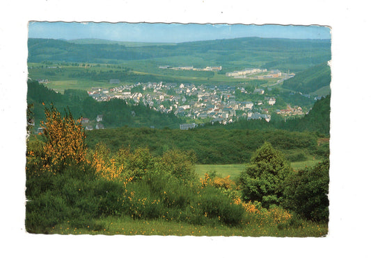 Ansichtskarte Daun in der Eifel / M1-61