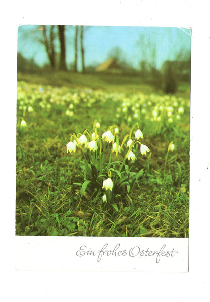Ansichtskarte Feiertage / Frohe Ostern / L1-54