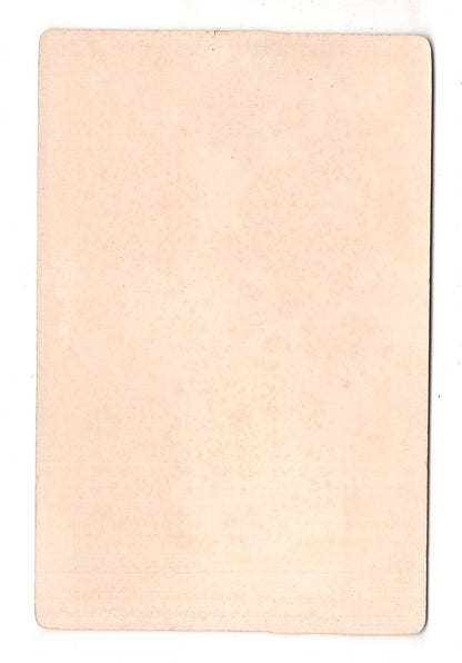 Fotografie Feines Paar mit Hund - Oldenburg 1890er / CAB X-33