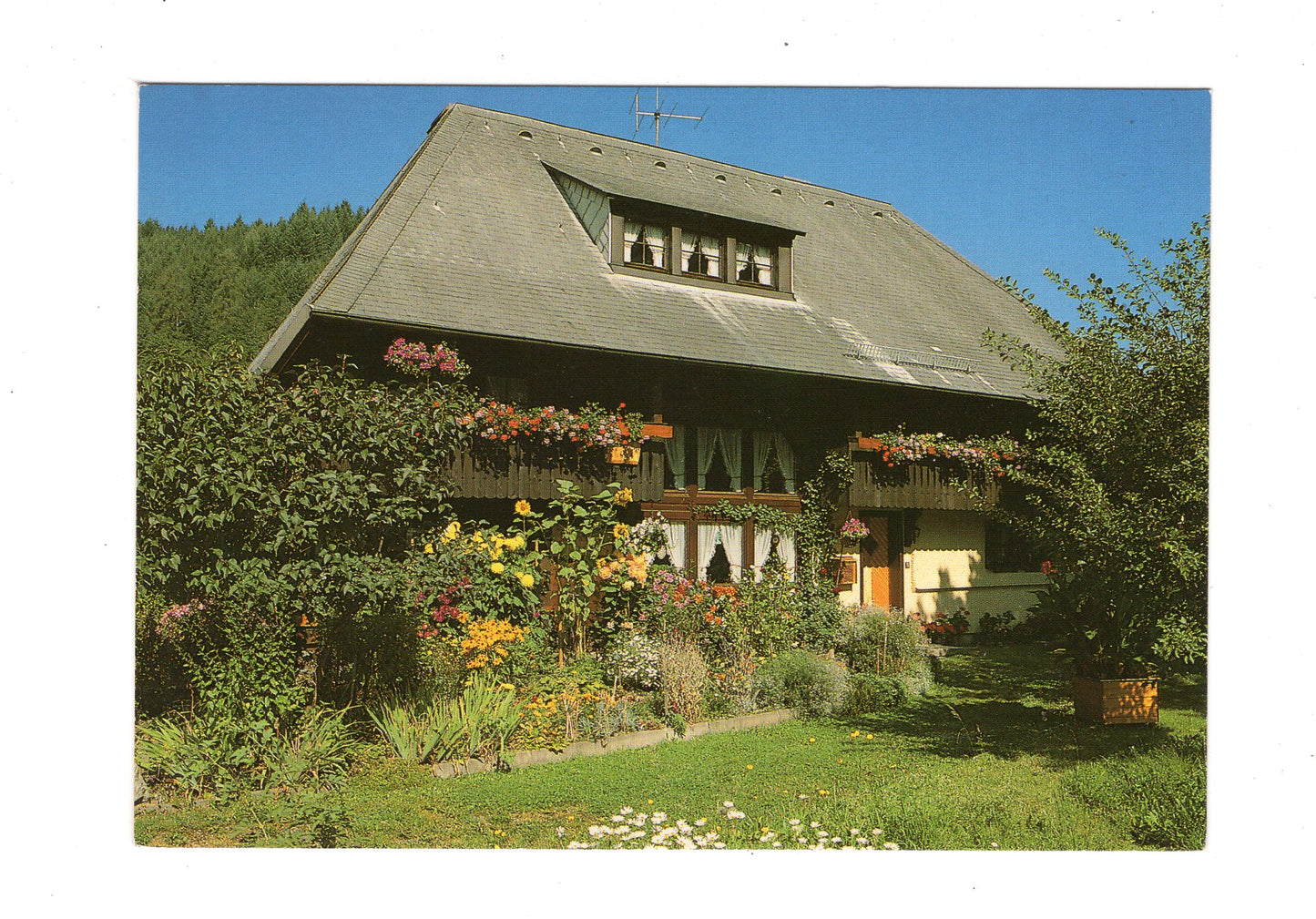 Ansichtskarte Gästehaus Schuler / Freiburg-Kappel