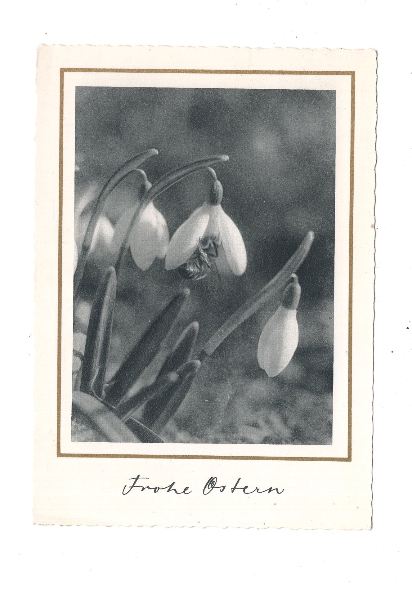 Ansichtskarte Feiertage / Frohe Ostern / L1-54