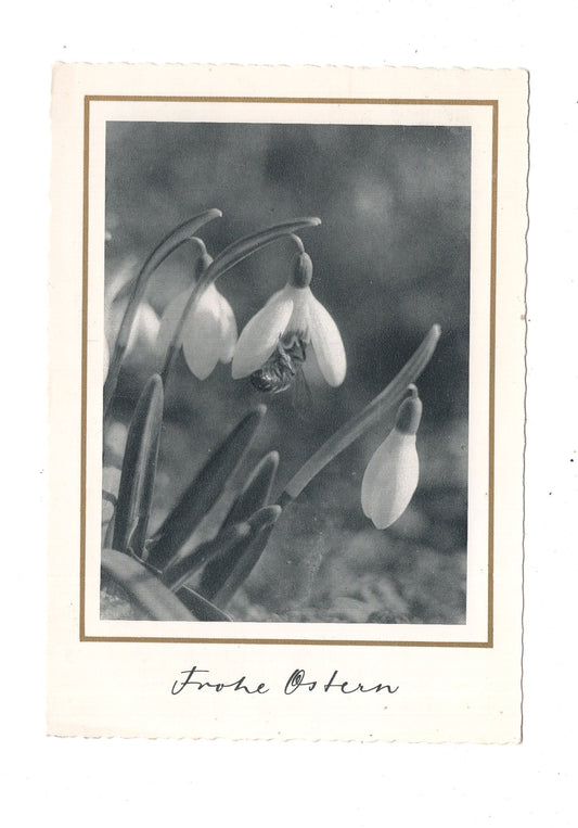 Ansichtskarte Feiertage / Frohe Ostern / L1-54