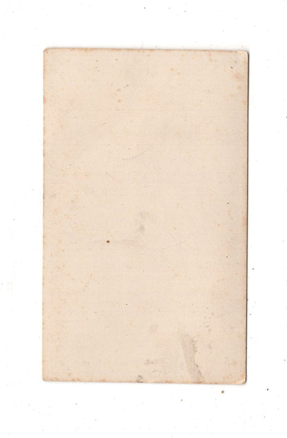 Fotografie The Arrochar Mountains from Inversnaid - Schottland 1870er