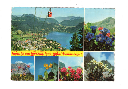Ansichtskarte St. Gilgen / Salzkammergut / Österreich