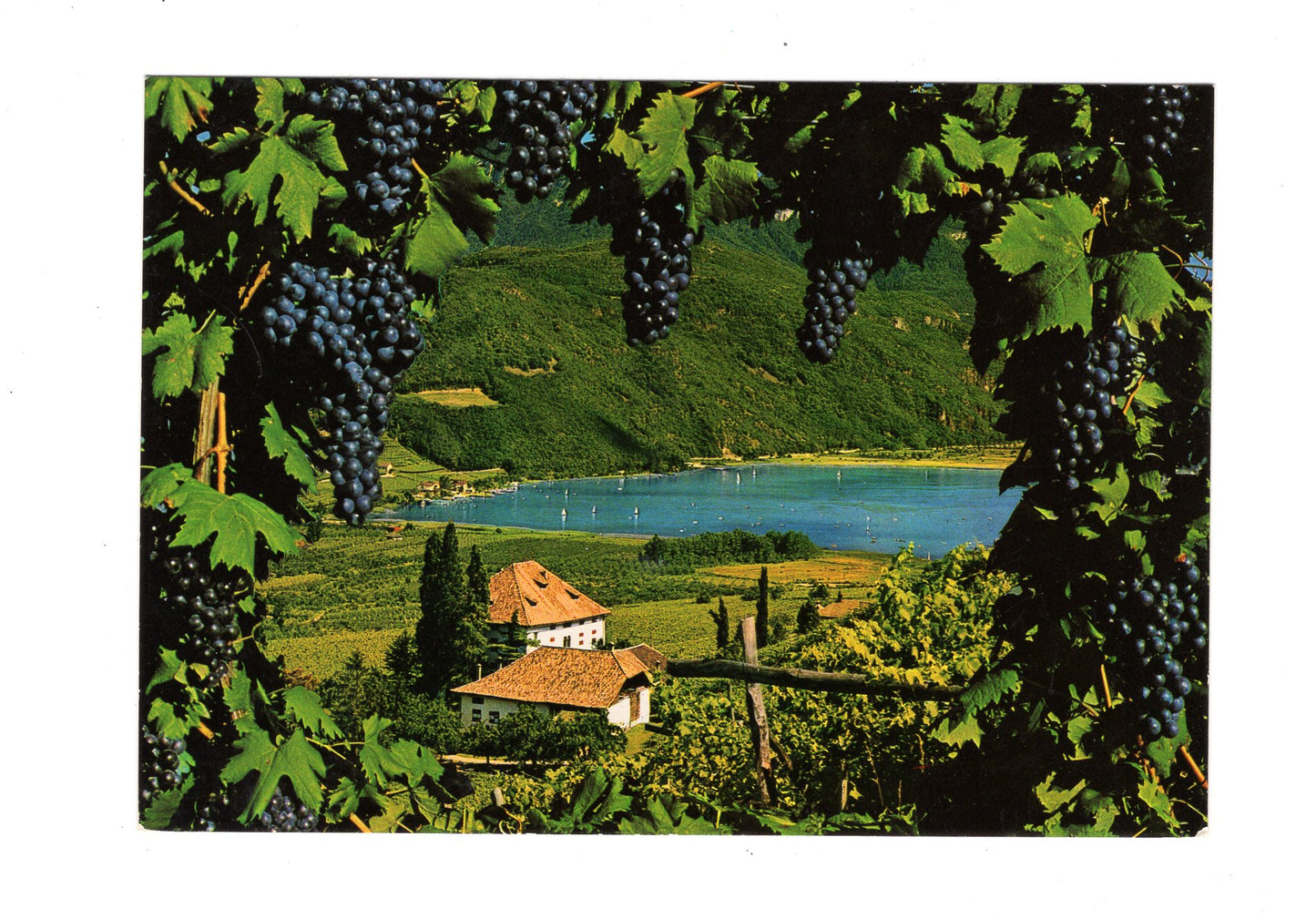 Ansichtskarte Schloss Ringberg / Kaltersee bei Bozen / Italien