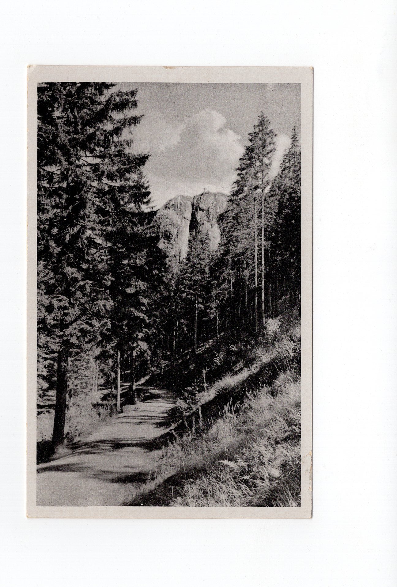 Ansichtskarte Der Falkenstein im Schmalwassergrund / Thüringen